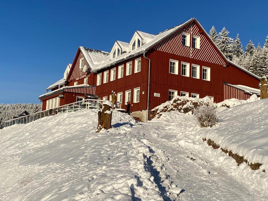 Guest house Pod Lesem 3*